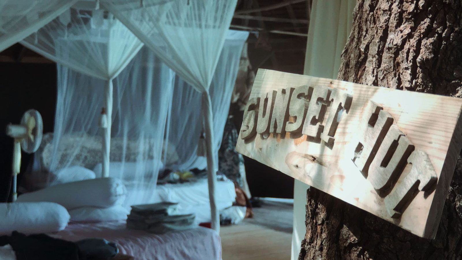 Penny Camp