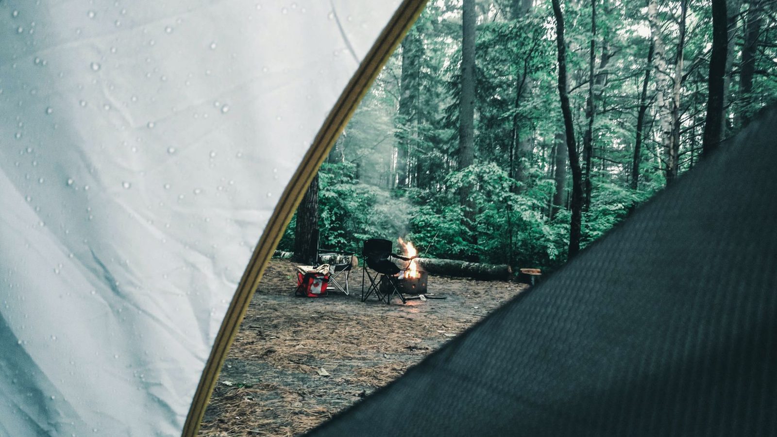 Penny Camp