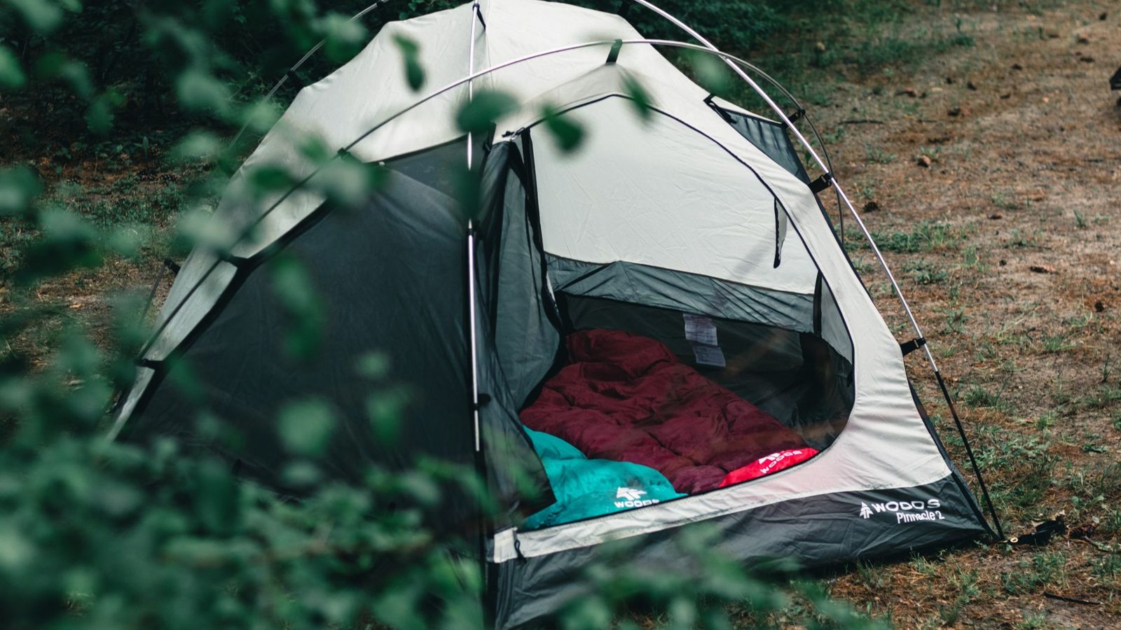 Cozy camping tent set up in an Ontario forest for an outdoor adventure.