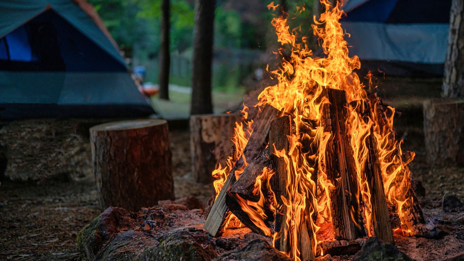A lively campfire surrounded by tents in a serene forest setting, perfect for camping scenes.