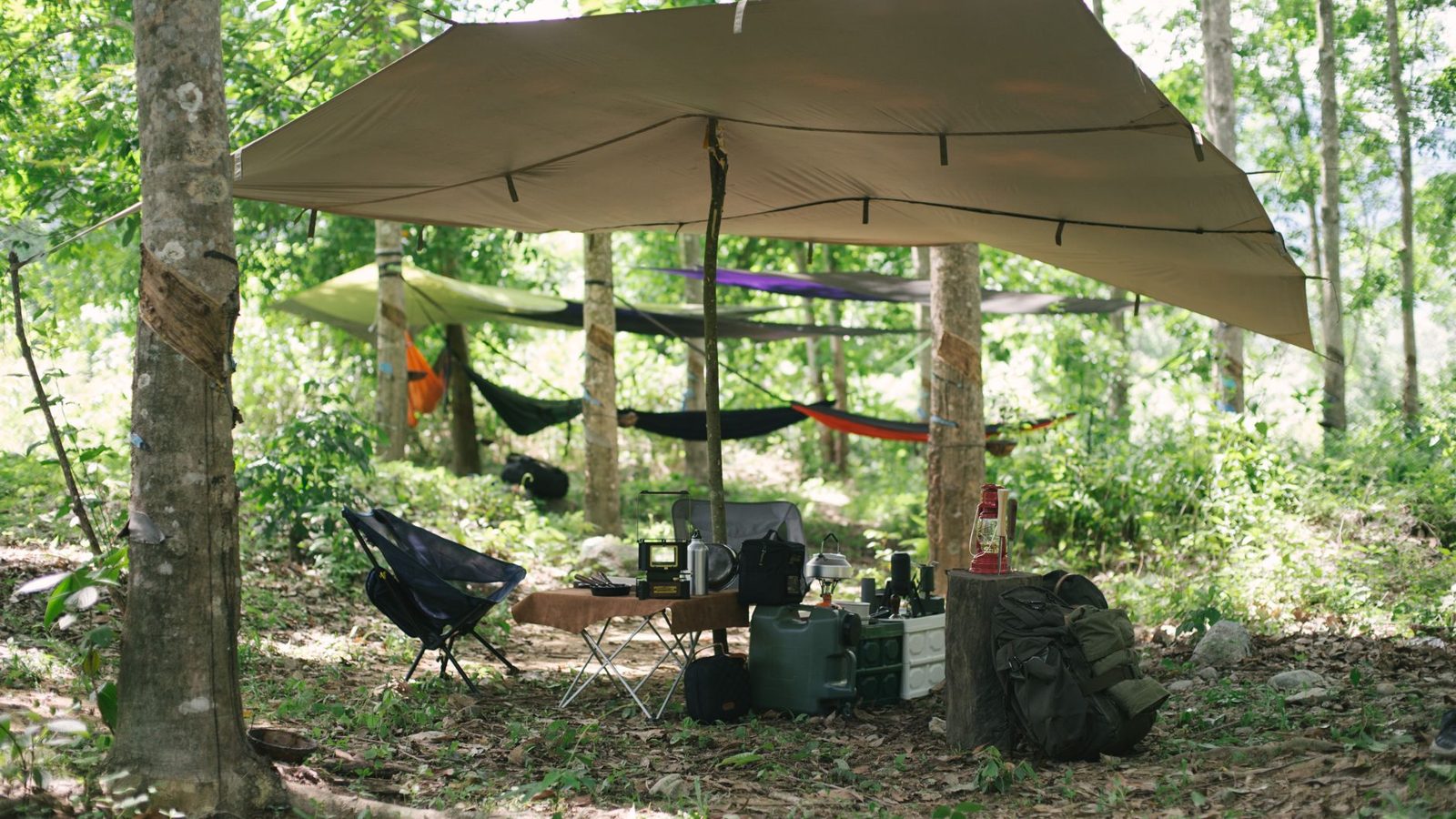 Outdoor camping setup with equipment and hammocks under tree canopy in the forest.